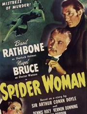 福尔摩斯和蜘蛛女,探秘智慧与勇气的交织