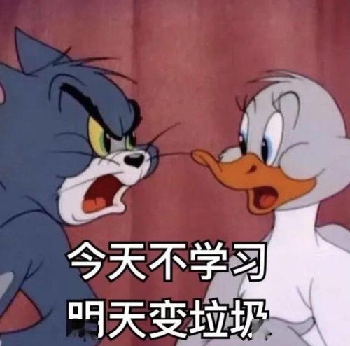 不装了，我才是三个大佬哥哥的心尖宠,揭秘三位大佬哥哥的心尖宠