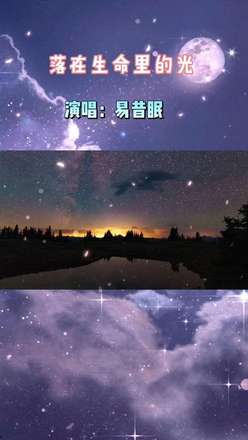 落在生命里的光,照亮前行之路的温暖与希望